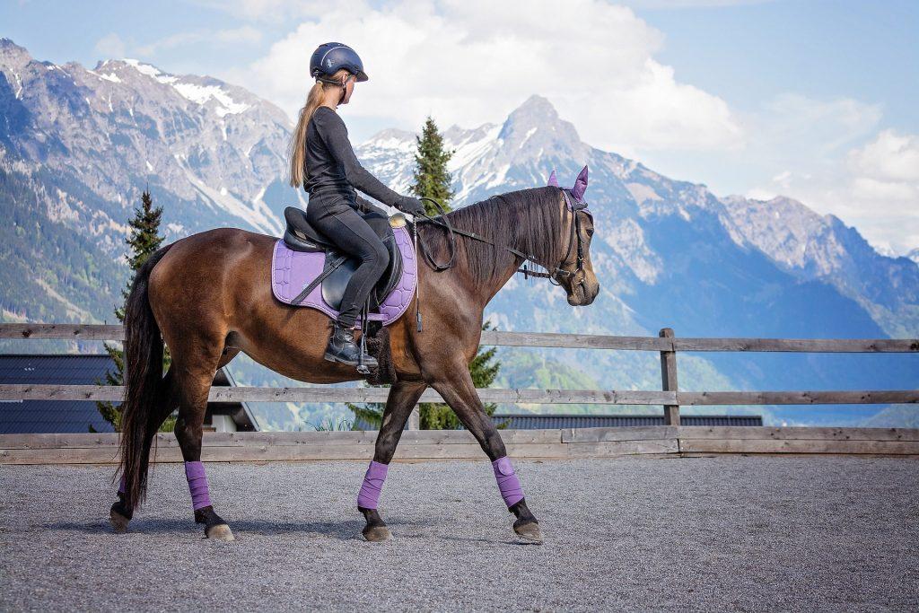 רכיבה מערבית על סוסים – מה המשמעות של הסגנון הזה?